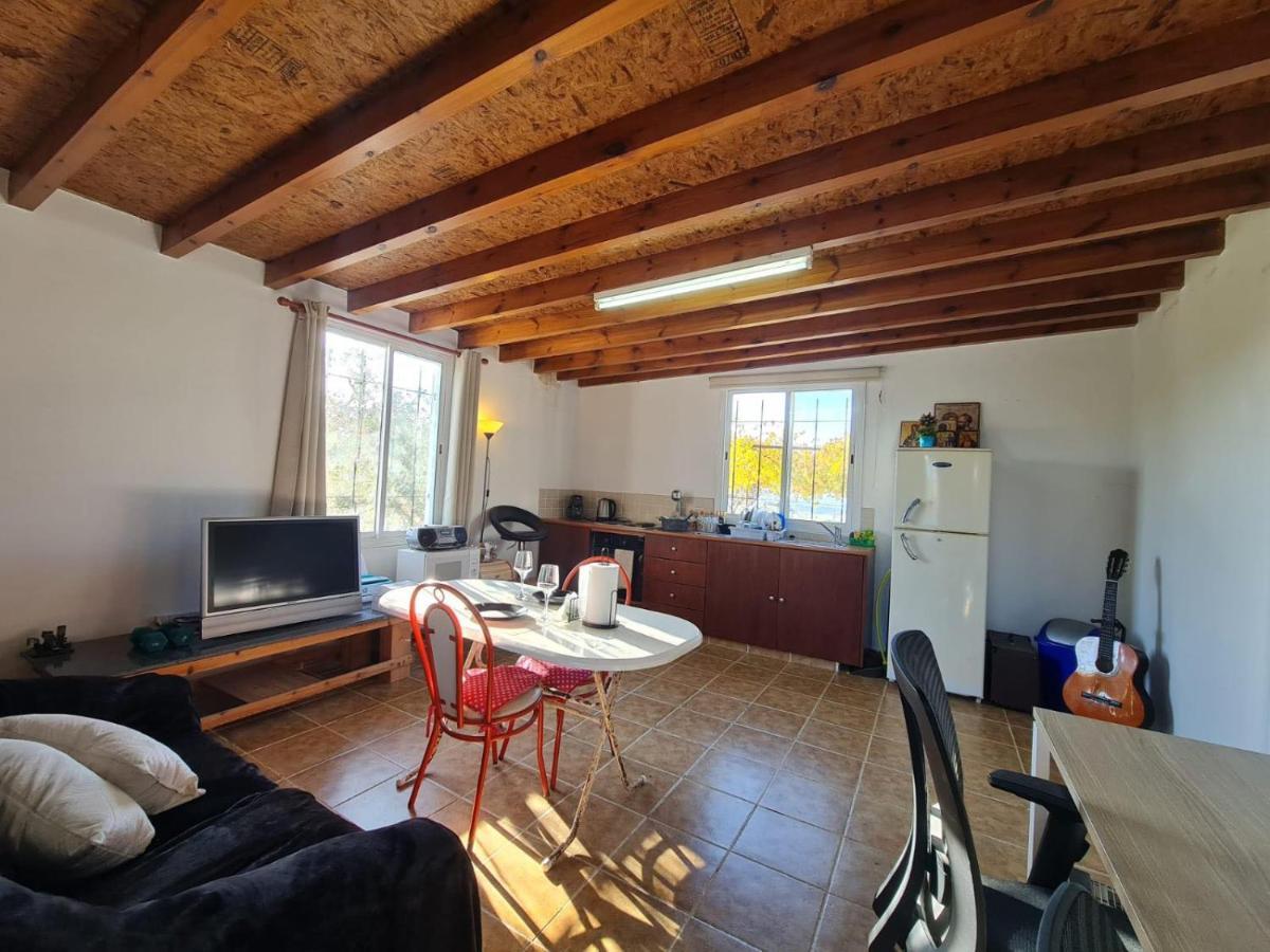 Spacious Studio In Yeroskipou Koloni エクステリア 写真