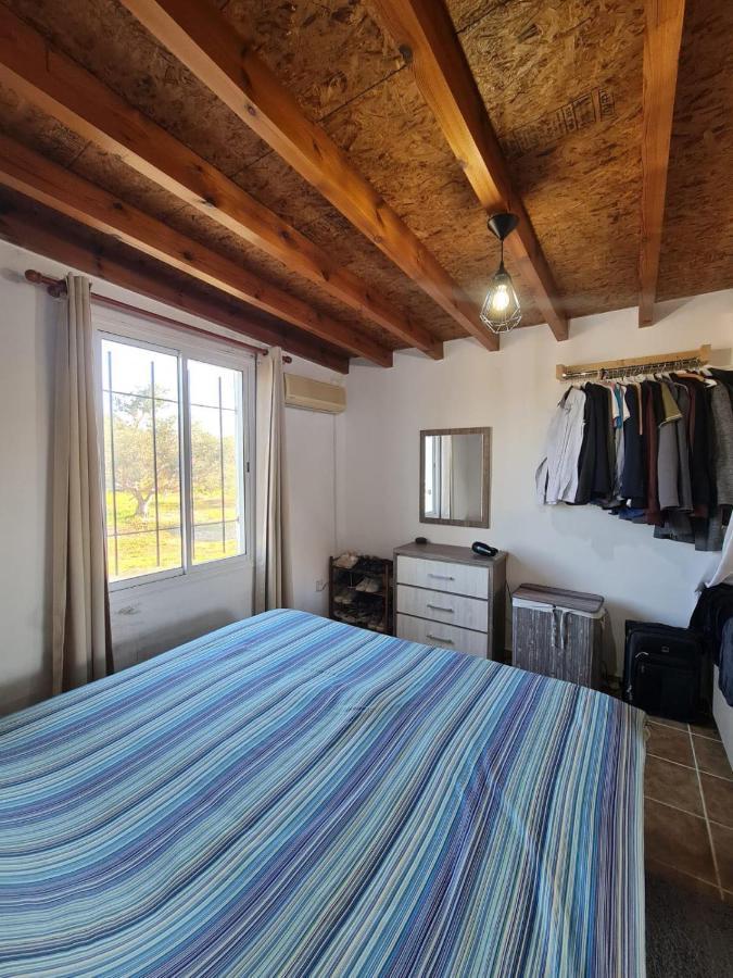 Spacious Studio In Yeroskipou Koloni エクステリア 写真